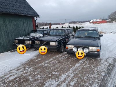 Den fick stå ute o mysa med kompisarna över vintern