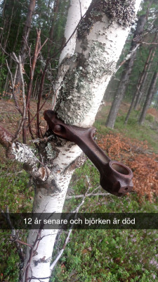 Snapchat-710540700.jpg